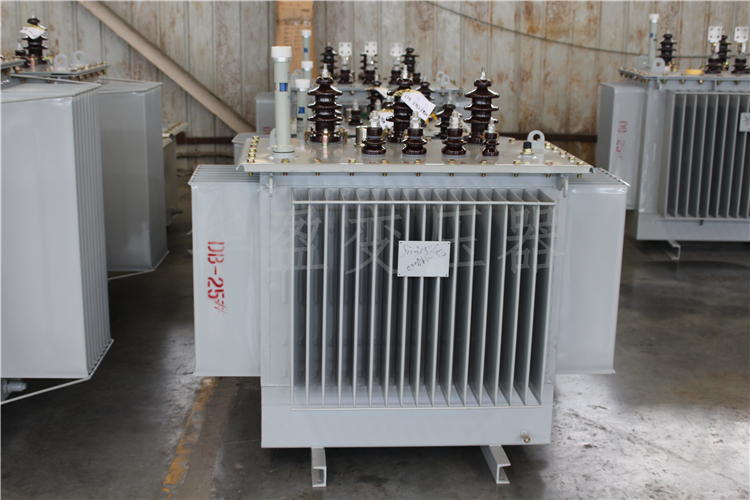 商丘S20-800kVA/10kV/0.4kV变压器
